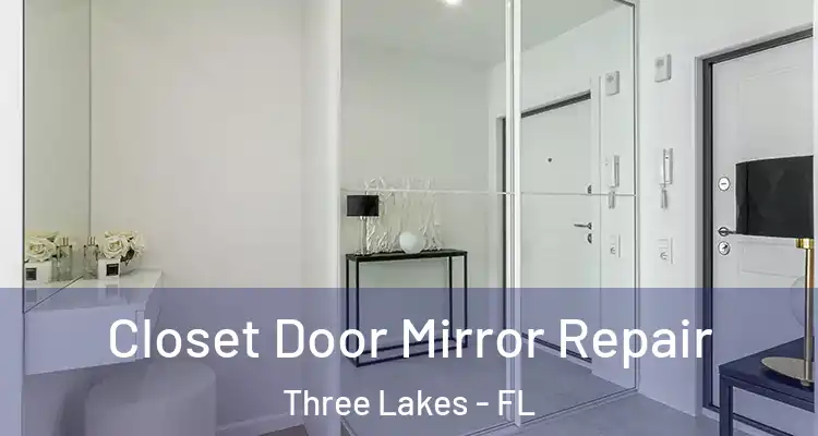 Closet Door Mirror Repair Three Lakes - FL