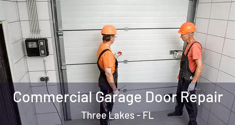 Commercial Garage Door Repair Three Lakes - FL