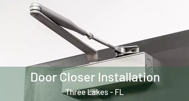 Door Closer Installation Three Lakes - FL