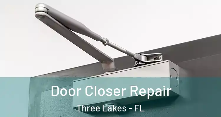 Door Closer Repair Three Lakes - FL