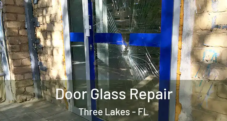 Door Glass Repair Three Lakes - FL