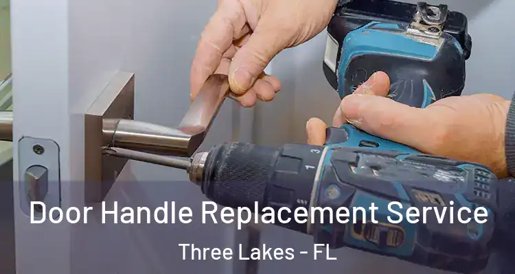 Door Handle Replacement Service Three Lakes - FL