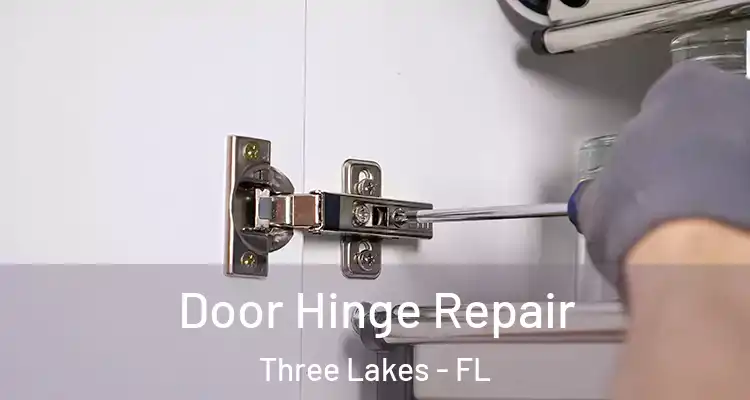 Door Hinge Repair Three Lakes - FL
