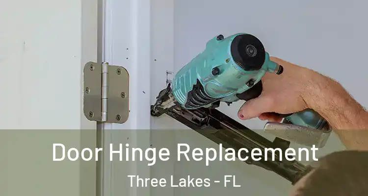 Door Hinge Replacement Three Lakes - FL