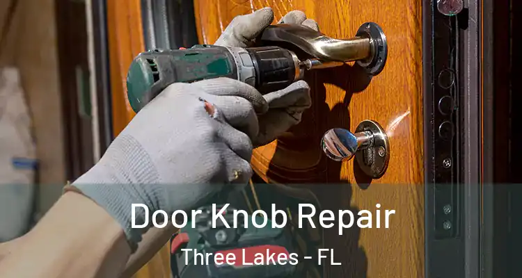 Door Knob Repair Three Lakes - FL