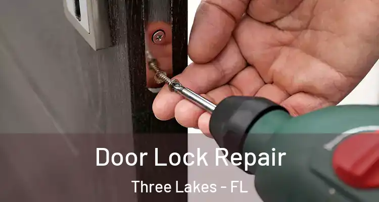 Door Lock Repair Three Lakes - FL