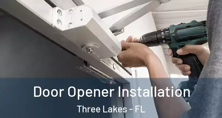 Door Opener Installation Three Lakes - FL
