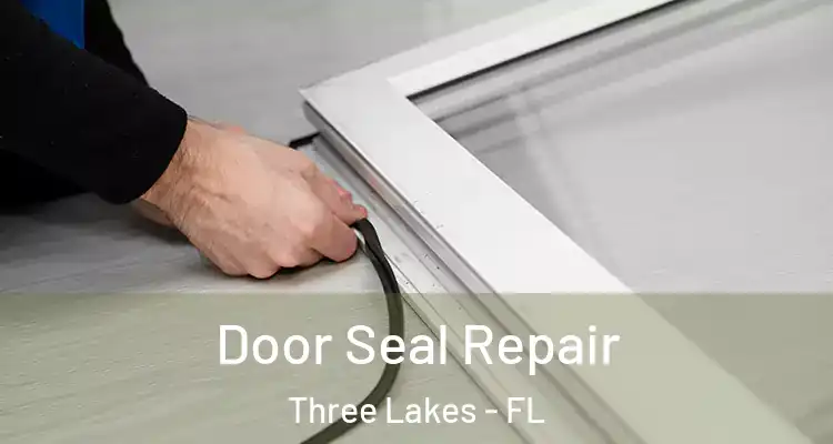 Door Seal Repair Three Lakes - FL