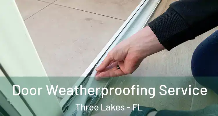 Door Weatherproofing Service Three Lakes - FL