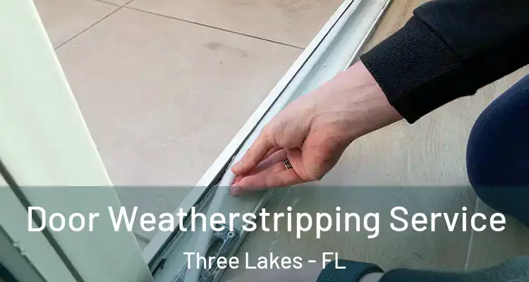 Door Weatherstripping Service Three Lakes - FL