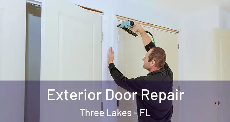 Exterior Door Repair Three Lakes - FL