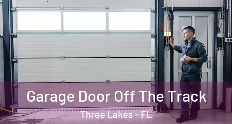 Garage Door Off The Track Three Lakes - FL