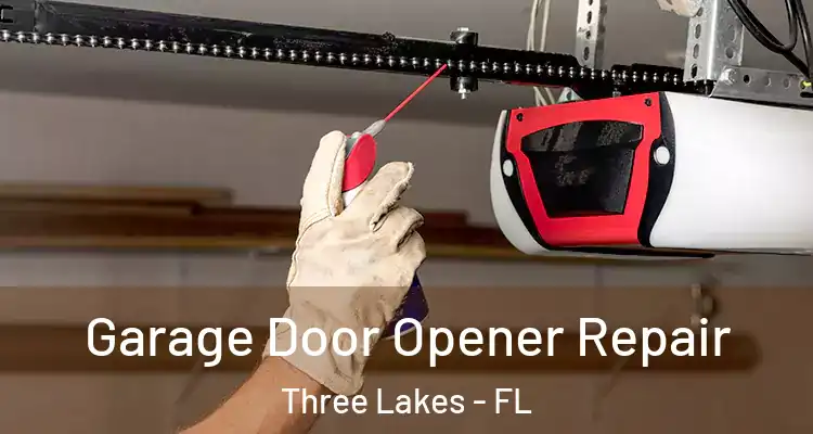 Garage Door Opener Repair Three Lakes - FL
