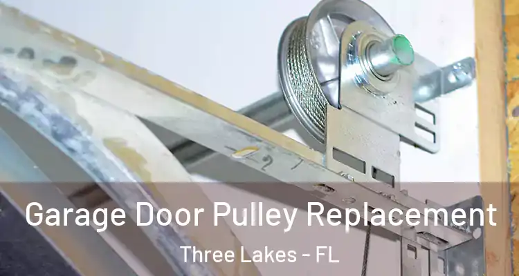 Garage Door Pulley Replacement Three Lakes - FL