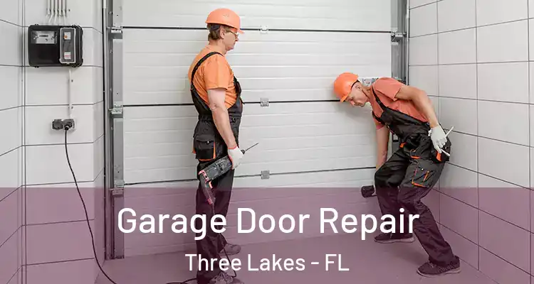 Garage Door Repair Three Lakes - FL