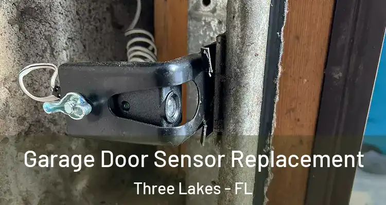 Garage Door Sensor Replacement Three Lakes - FL