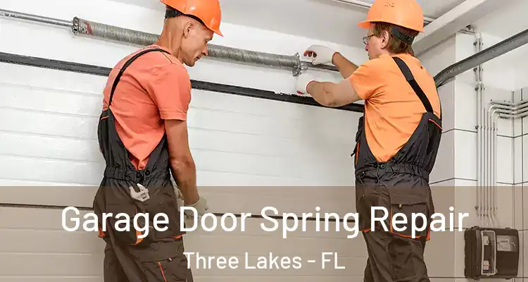Garage Door Spring Repair Three Lakes - FL