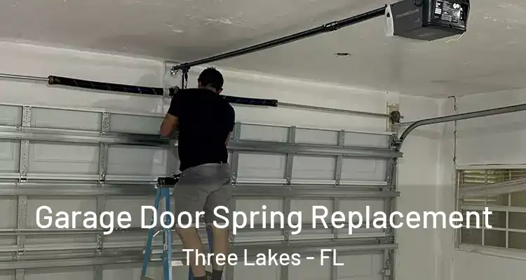 Garage Door Spring Replacement Three Lakes - FL