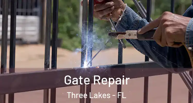 Gate Repair Three Lakes - FL