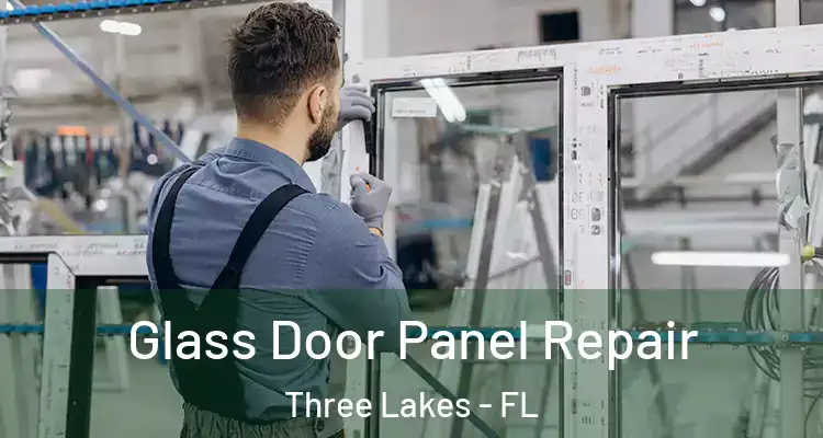 Glass Door Panel Repair Three Lakes - FL