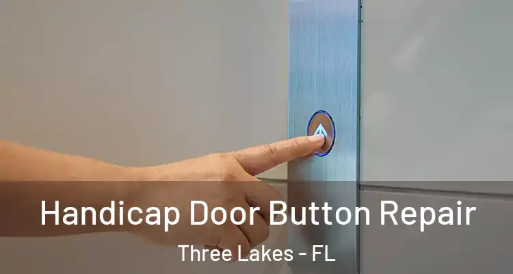 Handicap Door Button Repair Three Lakes - FL