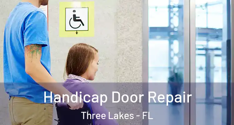 Handicap Door Repair Three Lakes - FL