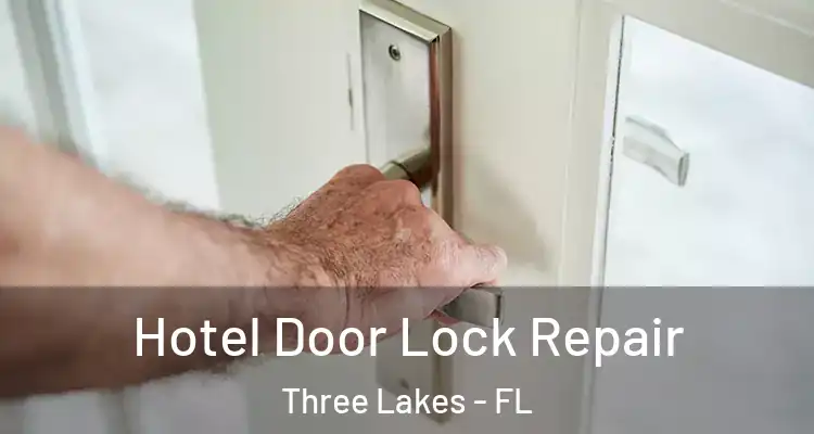 Hotel Door Lock Repair Three Lakes - FL
