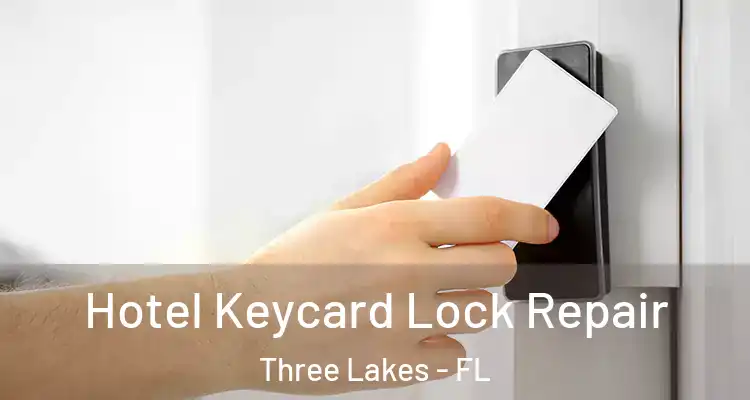 Hotel Keycard Lock Repair Three Lakes - FL