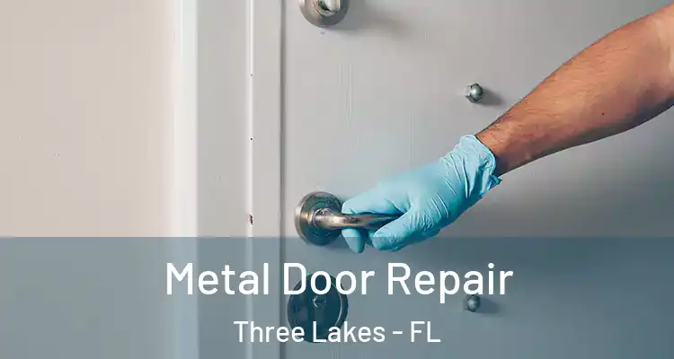 Metal Door Repair Three Lakes - FL