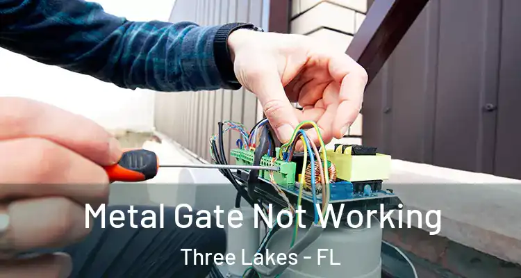 Metal Gate Not Working Three Lakes - FL
