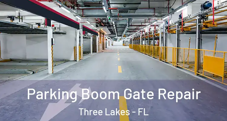 Parking Boom Gate Repair Three Lakes - FL