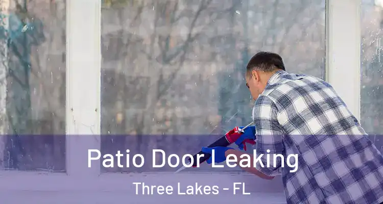 Patio Door Leaking Three Lakes - FL