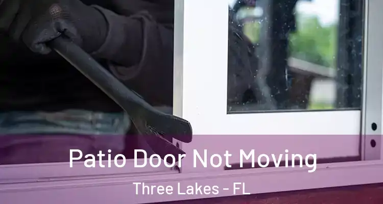Patio Door Not Moving Three Lakes - FL