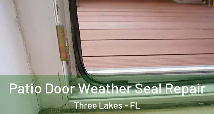 Patio Door Weather Seal Repair Three Lakes - FL