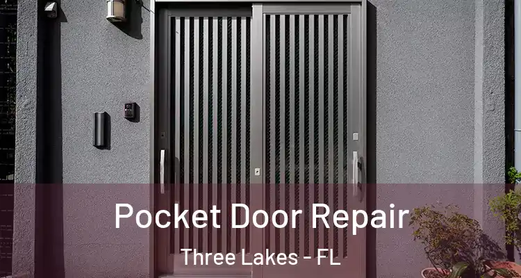 Pocket Door Repair Three Lakes - FL