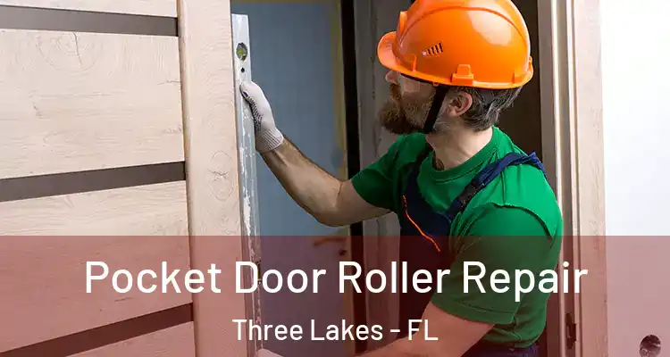 Pocket Door Roller Repair Three Lakes - FL