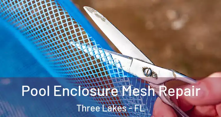 Pool Enclosure Mesh Repair Three Lakes - FL