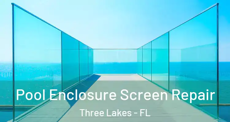 Pool Enclosure Screen Repair Three Lakes - FL