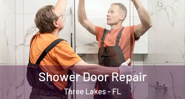 Shower Door Repair Three Lakes - FL