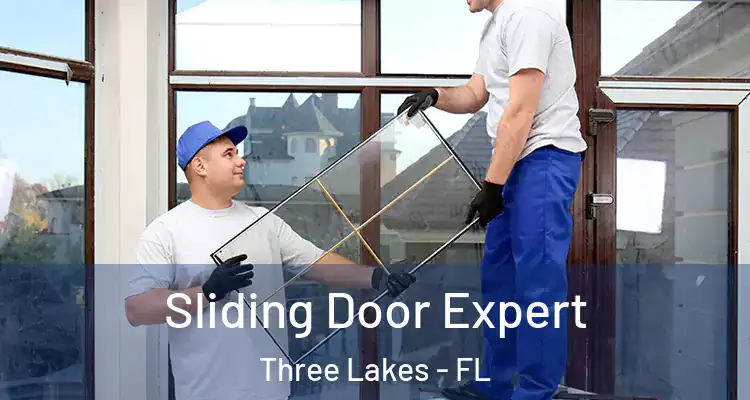 Sliding Door Expert Three Lakes - FL