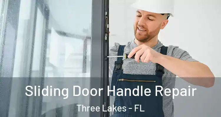Sliding Door Handle Repair Three Lakes - FL