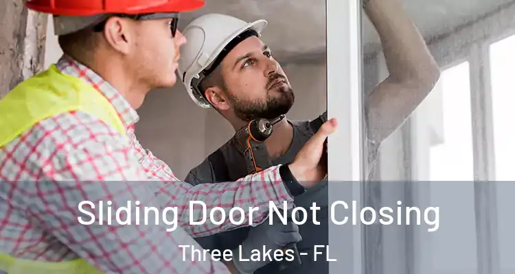 Sliding Door Not Closing Three Lakes - FL