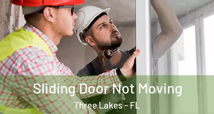 Sliding Door Not Moving Three Lakes - FL