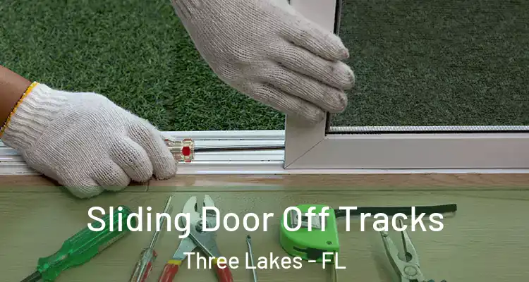 Sliding Door Off Tracks Three Lakes - FL