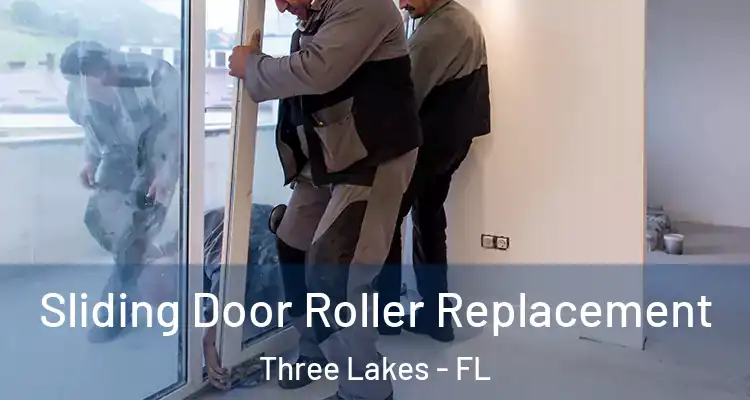 Sliding Door Roller Replacement Three Lakes - FL