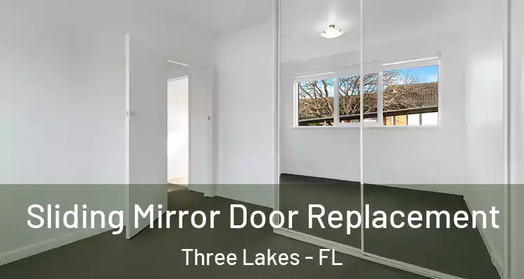 Sliding Mirror Door Replacement Three Lakes - FL