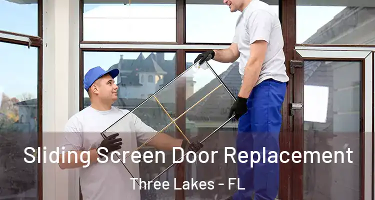 Sliding Screen Door Replacement Three Lakes - FL