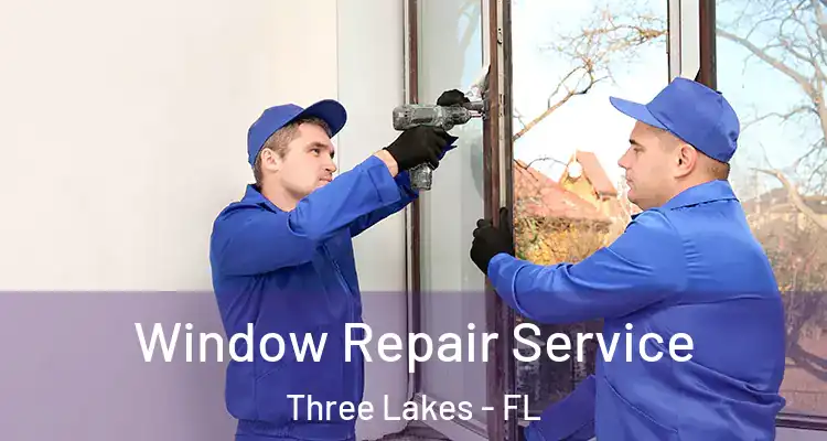 Window Repair Service Three Lakes - FL