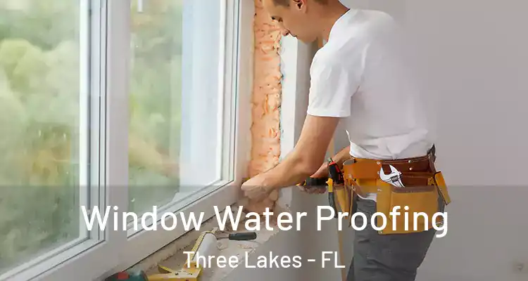 Window Water Proofing Three Lakes - FL
