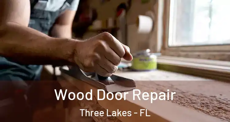 Wood Door Repair Three Lakes - FL